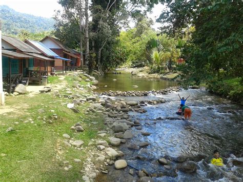 It is a wonderful place for family and. Janda Baik Pahang: Sungai Kuali Camp Site