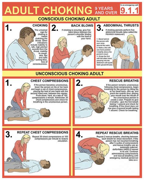 Choking First Aid Chart Poster By Gwen Shockey