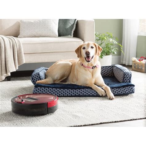 See more by everly quinn. Archie & Oscar Betsy Comfy Dog Sofa & Reviews | Wayfair