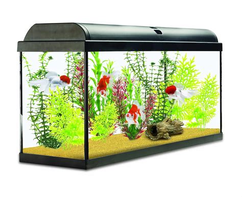 Interpet Aquaverse Glass Aquarium Fish Tank Premium Kit Litre Ebay