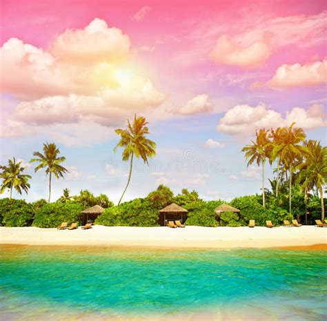 Tropical Beach With Sunset Sky Paradise Island Stock Image Image Of