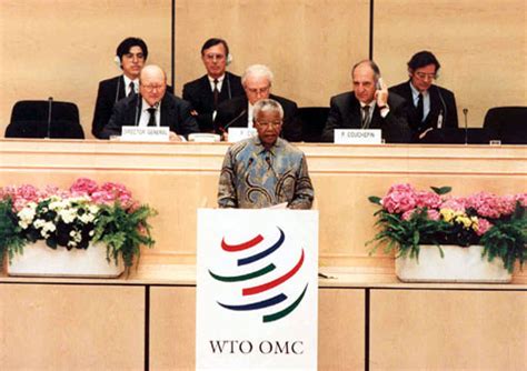 โครงสร้างของ WTO - องค์การการค้าโลก