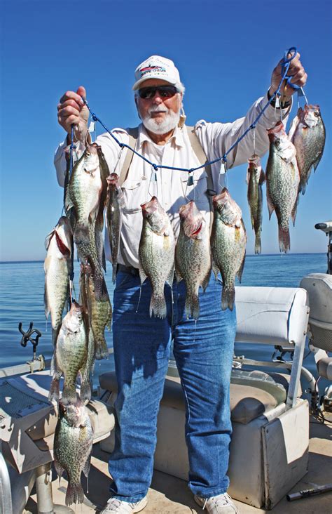 Fall Crappie Fishing On South Carolinas Lake Marion Can Be As Good As