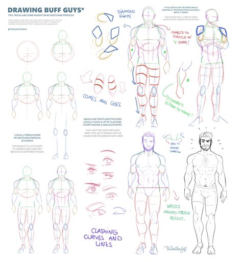 Male Anatomy Tips By Thedamn Thinguy Drawing Tutorial Drawings Guy