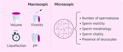 Basic Semenogram With Macroscopic And Microscopic Parameters