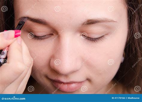 Makeup Artist Brush Eyebrows Brings Young Girl Stock Photo Image Of