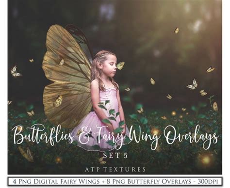 Digital Overlays Png Fairy Wings And Butterflies Set 5 Photography