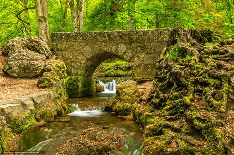 Descargar Gratis Bosque Pequeño Río Cascada Puente Fondos De