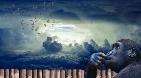 Simon, blogbeitrag in simons kehrwoche. Carl-Auer Verlag - Komplexitätsmanagement - Modell/Stufen ...