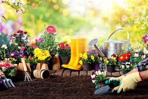 Der frühling ist die zeit, in der tiere und pflanzen im garten aus dem winterschlaf erwachen. Gartenarbeit im Frühling: Das muss jetzt getan werden