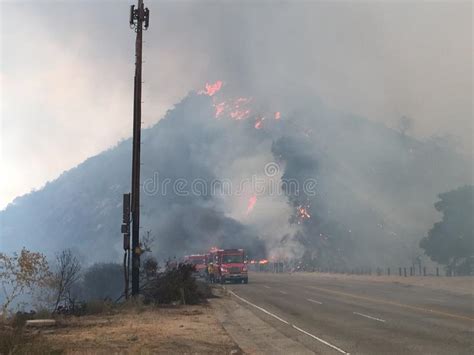 Forest Fire With Big Flames Et Camion De Pompiers Photo Stock éditorial