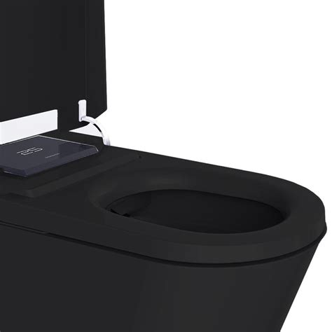 Ctižiadosť Móda Kúzlo Black Bidet Toilet Seat Dynamický Príjem Objem