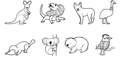Animales De Australia Dibujo Para Colorear E Imprimir Australia