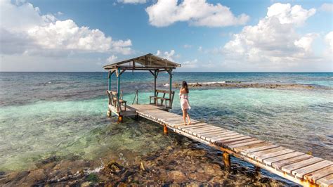 Aruba Travel Guide The Best Local Experiences My Blog