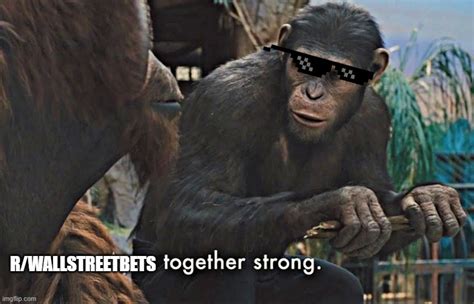 Apes Together Strong Memes Imgflip