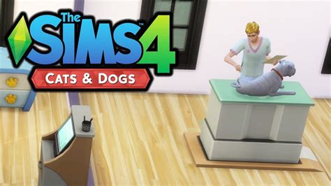 A New Vet The Sims 4 Cats And Dogs Part 26 Youtube