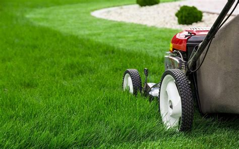 Summer Lawn Care And Maintenance Sunbelt Inspections Of Cypress Tx