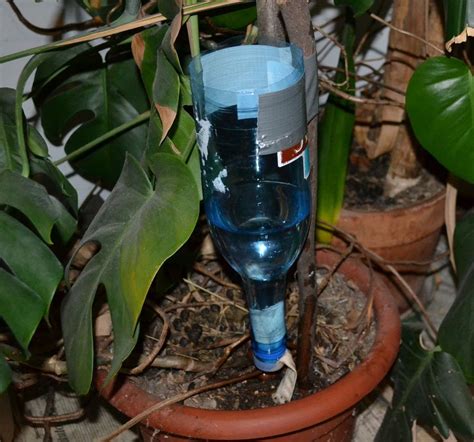 Great Idea For Watering Plant When You Are Not Around Drip Watering