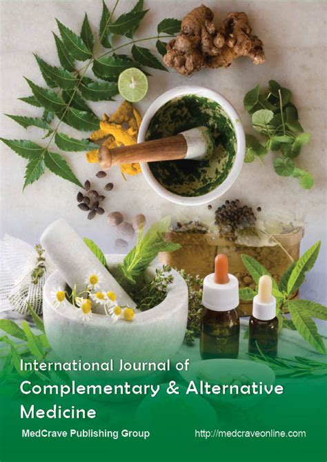 Alternative Medicine Research Paper