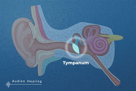 Hearing Loss In One Hear 3 Possible Causes Audien Hearing