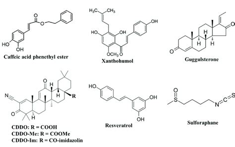 structures of antioxidant phytochemicals with potential effects on download scientific diagram