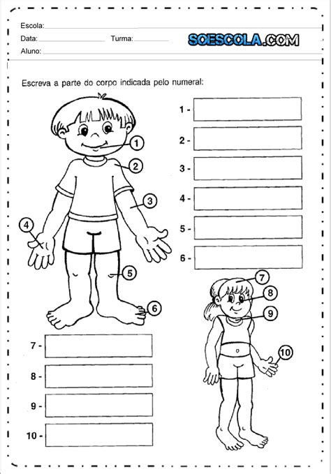 Atividades De Ciências 3 Ano Do Ensino Fundamental Para Imprimir