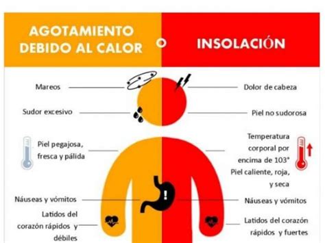 Heat Stroke Vs Heat Exhaustion Do You Know The Differences