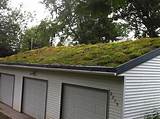 Pictures of Green Roof Minnesota