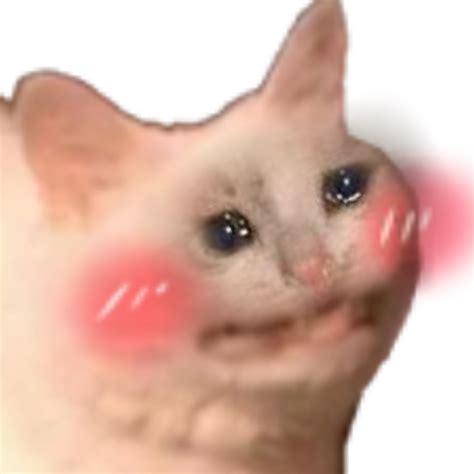 Crying Cat 1080x1080 Meme Dank Cat Memes Screaming 1080x1080 Gamerpic
