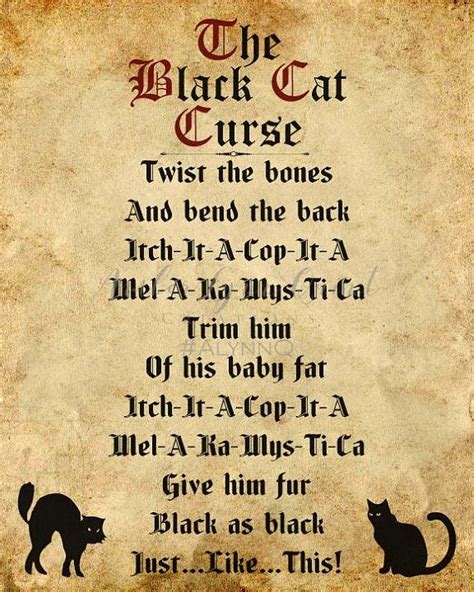 Hocus Pocus Black Cat Curse Diy Printable Halloween Decor Etsy Canada