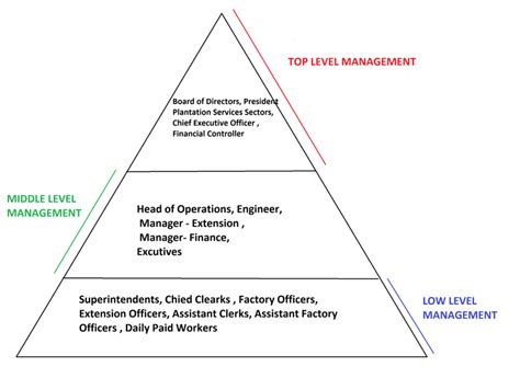 Organization Management Levels Author Development Download