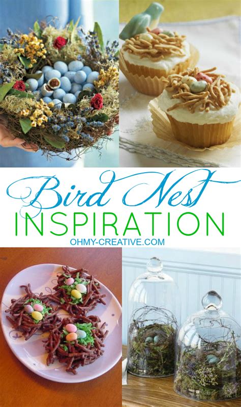 Bird Nests Springtime Inspiration Oh My Creative