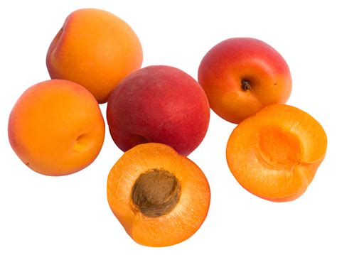 Apricot Png Images Transparent Free Download