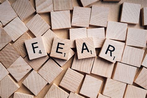 What Is Fear Body Wisdom Craniosacral Therapy