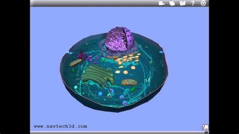 Chinese flag waving gif animation pure. Interactive 3D Animal Cell - YouTube