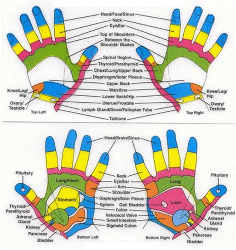 Hand Pressure Point Map Hand Reflexology You Can Have It All In The