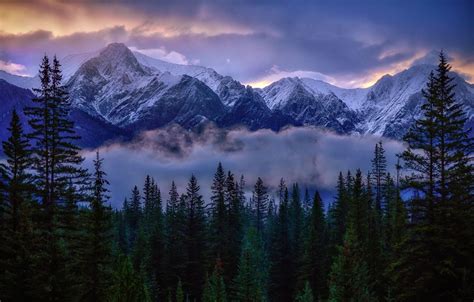 4598669 Reflection Landscape Trees Mountains Banff National