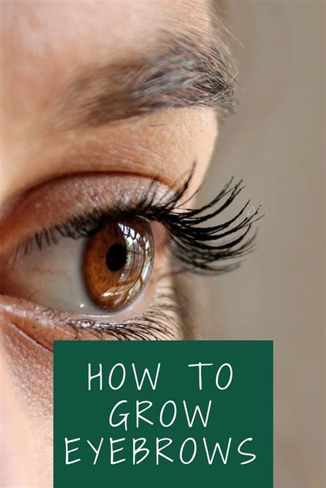 How To Grow Eyebrows Naturally Home Remedies For Thicker Eyebrows