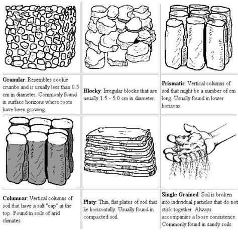 Whatisscience Types Of Soil
