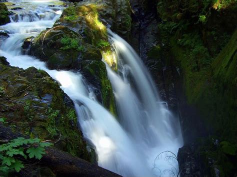 Pin By Best Of The Northwest On Olympic Peninsula And Rain Forest