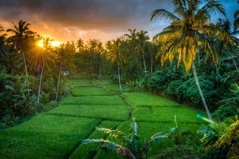 wallpaper pemandangan yang sangat indah - Pemandanganoce