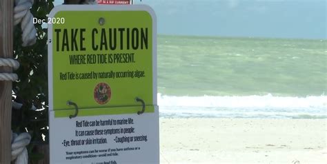 Doh Issues Red Tide Caution For Boca Grande Pass Gasparilla Island State Park Wink News
