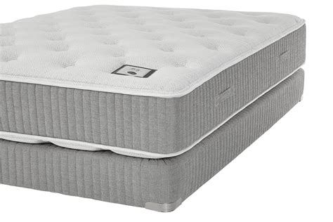 This line of mattresses features Ruby Mattress by Shifman Mattress Co. - 0386-RUBY-MATT ...