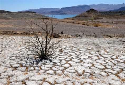 The Shocking Numbers Behind The Lake Mead Drought Crisis