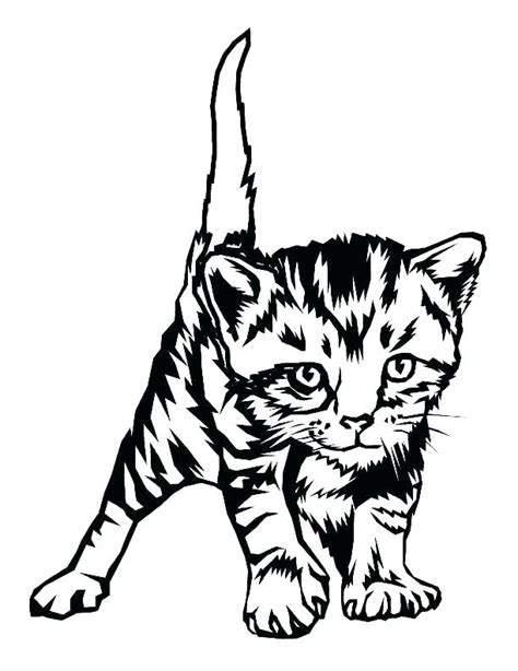 Baby Kitten Coloring Pages at GetColorings.com | Free printable