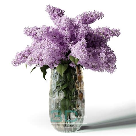 Bouquet Of Lilacs In A Modern Tall Vase 3ds Max Store 2024 Sell