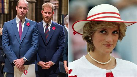 prince william and prince harry unite for rare joint statement ahead of princess diana milestone