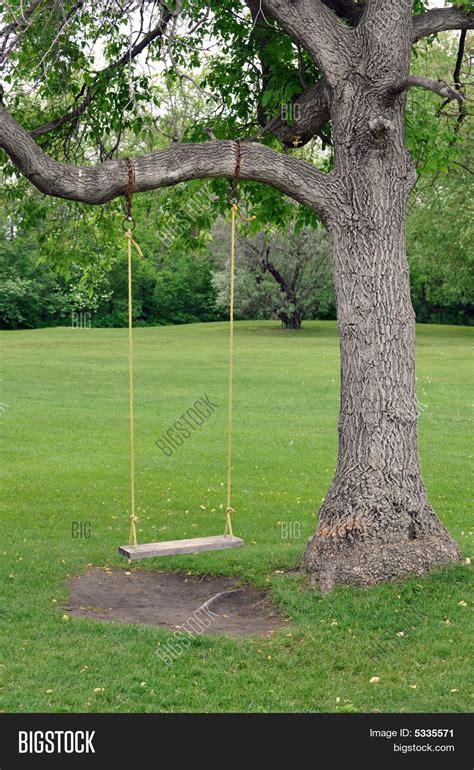 Empty Swing Image And Photo Free Trial Bigstock