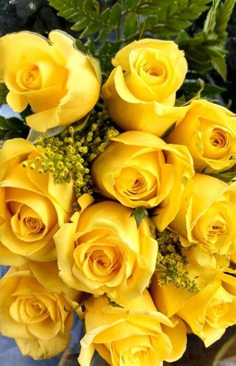 The Most Beautiful Bouquets Of Yellow Roses 2017