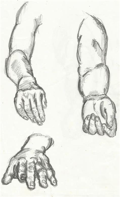 Hands Practice 2 By Alexandtrevorcomic On Deviantart